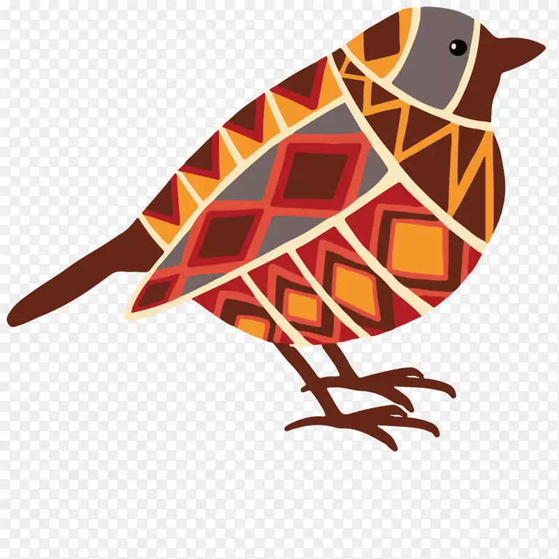 鸟类插图-艺术鸟