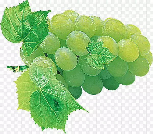葡萄果实恐惧症-绿葡萄