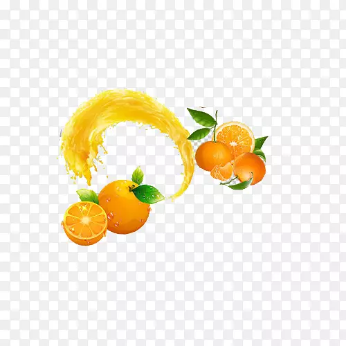 金门橙子