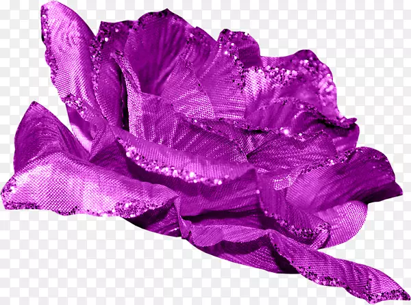 花滩玫瑰紫花瓣紫玫瑰
