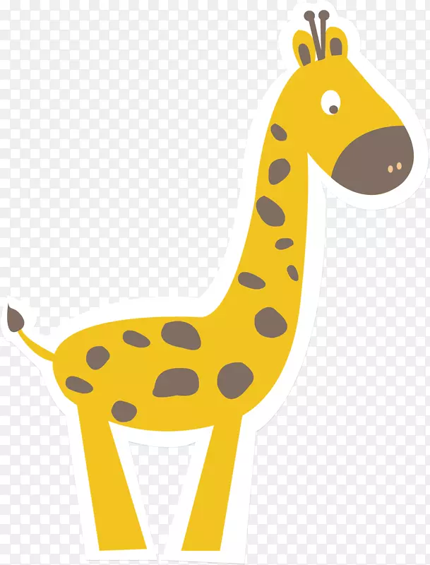 北方长颈鹿插图.黄色长颈鹿
