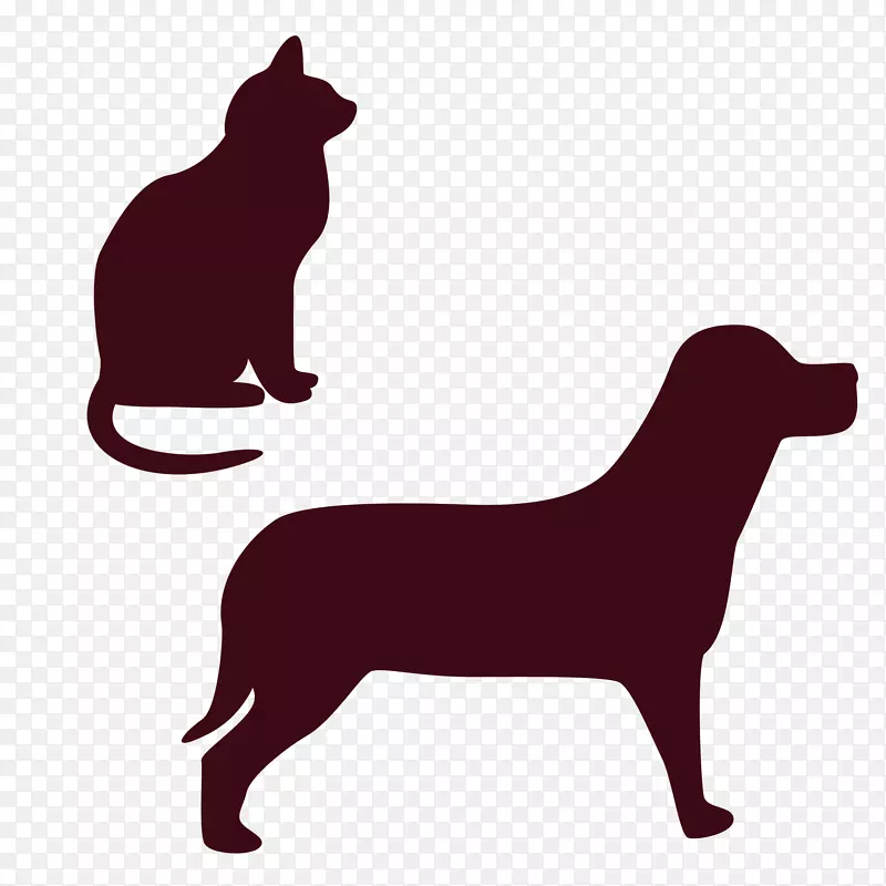 孟买猫小狗2013猫关系宠物-狗和猫的剪影