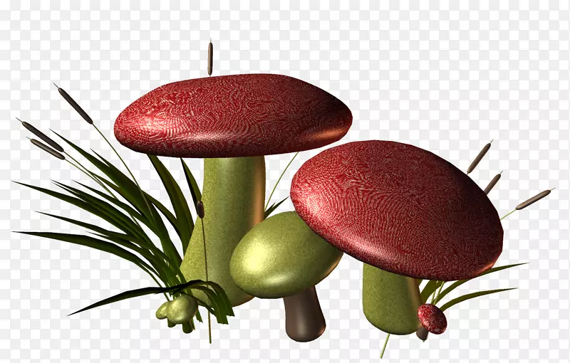 香菇红菇