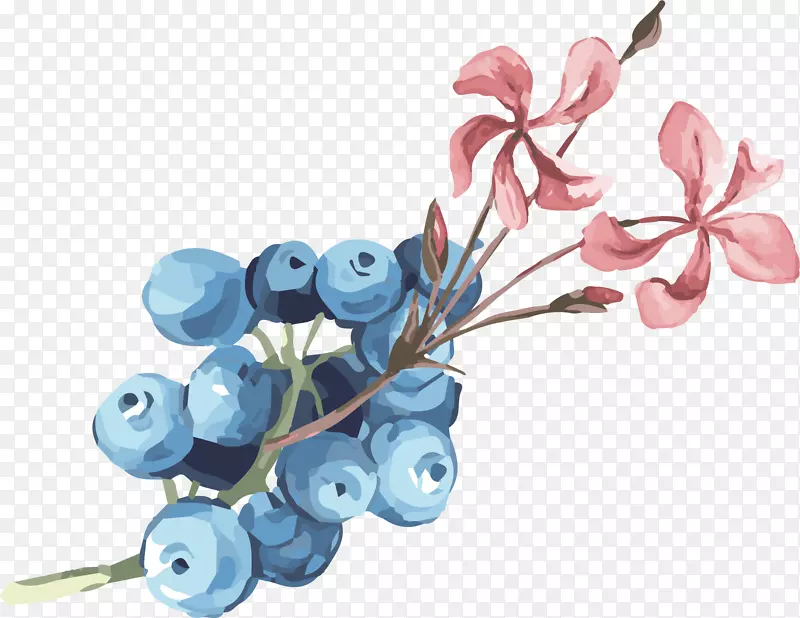蓝莓食物夹艺术.手绘蓝莓图片