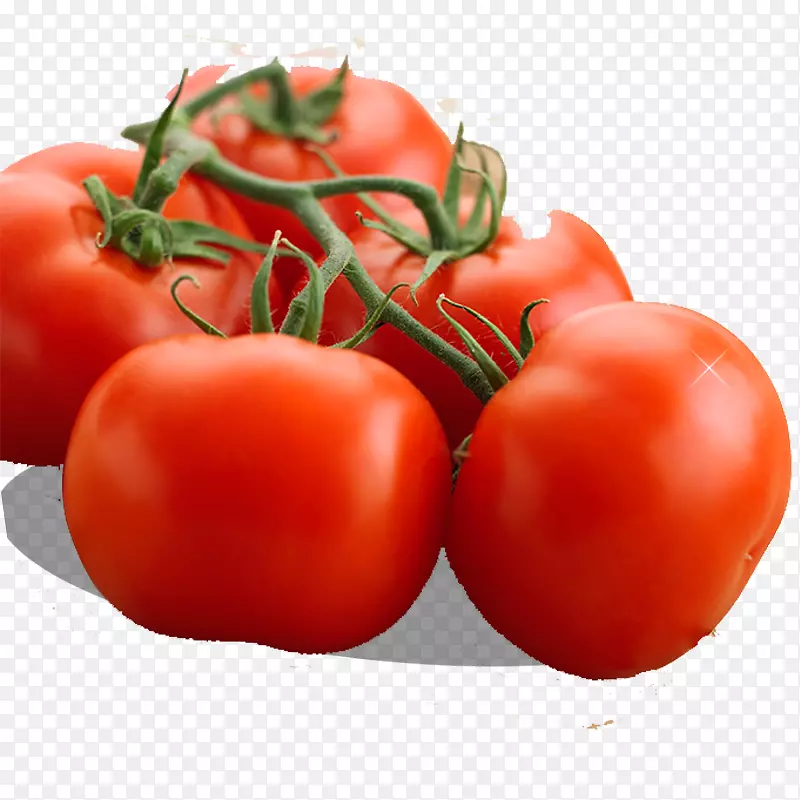 有机食品番茄蔬菜吃一束西红柿