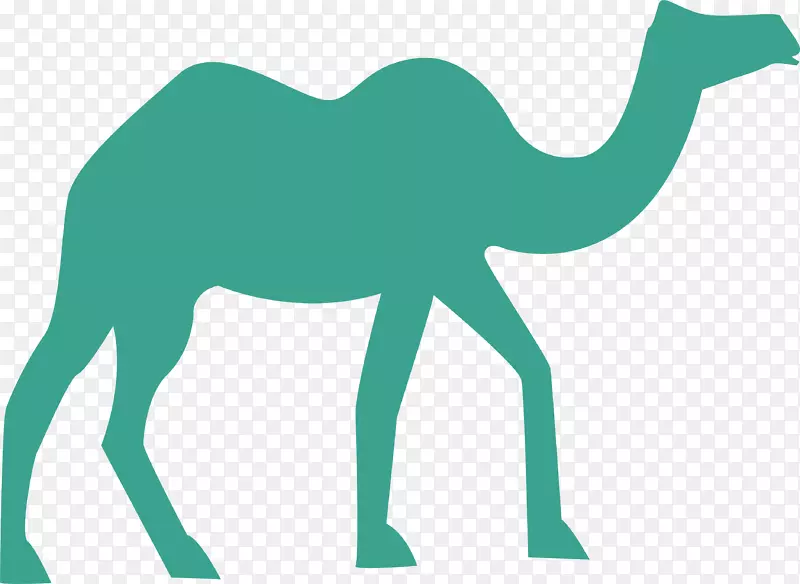 骆驼沙漠剪贴画-绿色沙漠骆驼