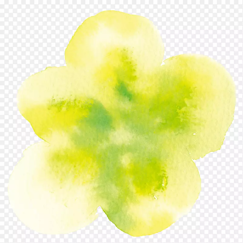 黄色google图像计算机文件-鹅墨水染成黄色的花