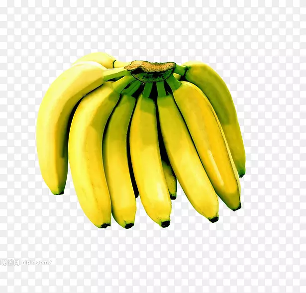 早上香蕉饮食谷歌图片奥格里斯西瓜-香蕉