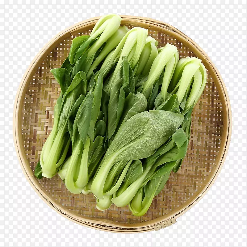 蔬菜大白菜u6cb9u83dc-蔬菜