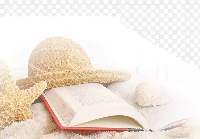 所有的光，我们看不见书夏天海滩壁纸-海边夏天帽子海星海螺书