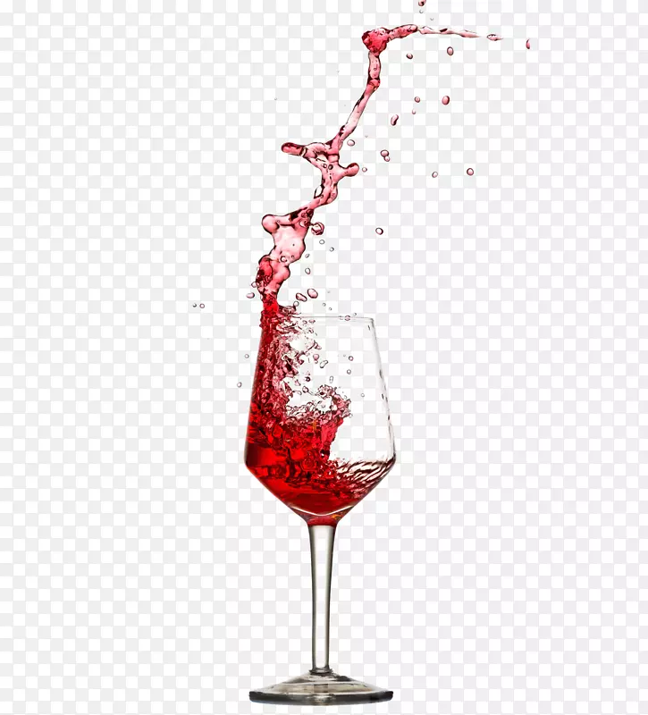 霍维酒厂品酒室，普通葡萄，葡萄牙葡萄酒，红葡萄酒素描