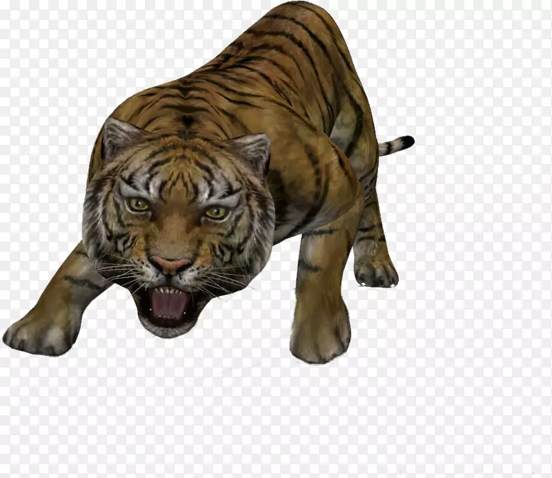 老虎三维计算机图形三维建模-强大的老虎