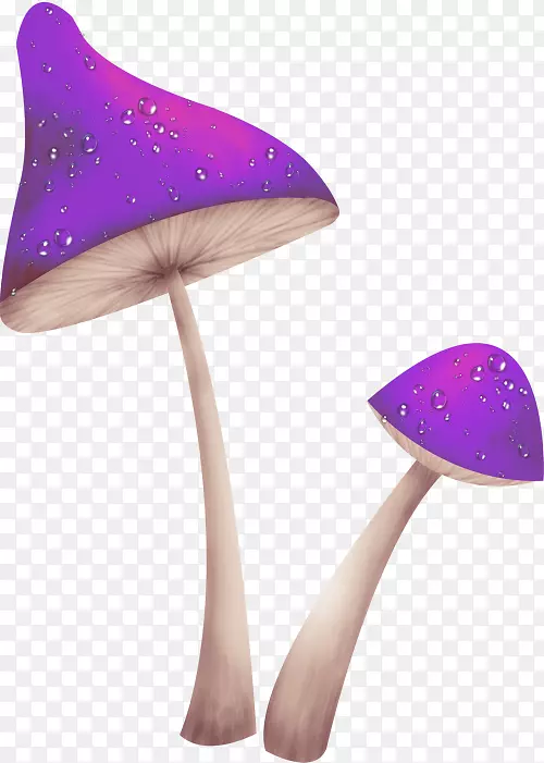 真菌蘑菇剪贴画-紫蘑菇