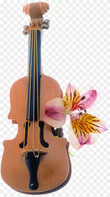 花束设计.小提琴效应元素花
