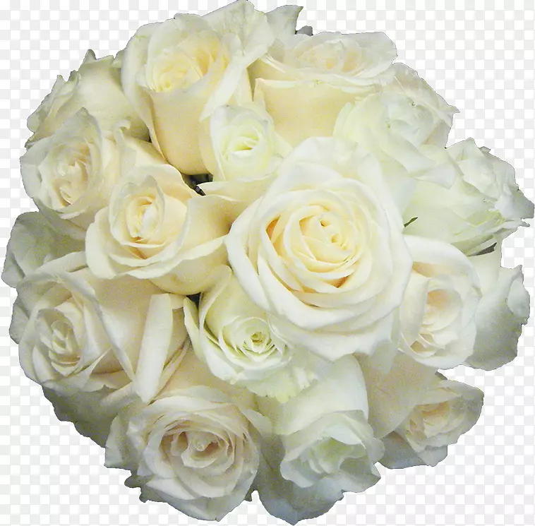 海滩玫瑰花白球-白玫瑰花球装饰元素