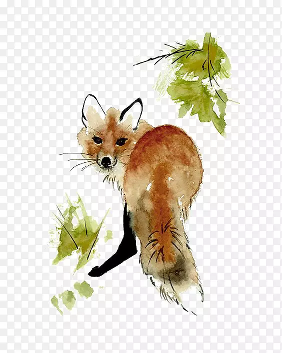 红狐水彩画绘画艺术-狐狸