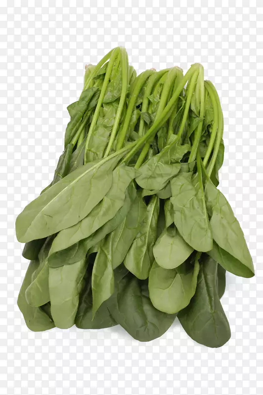 菠菜叶菜-一种卷心菜
