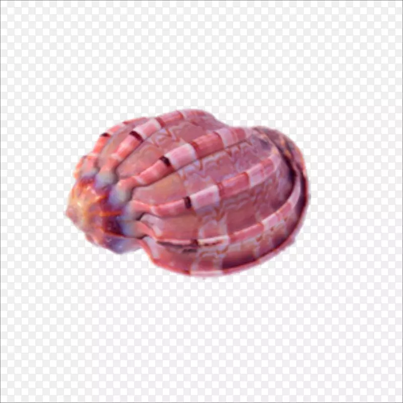 海螺下载-海螺