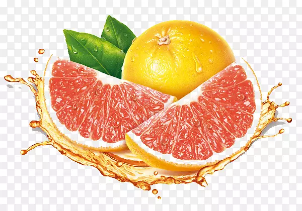 血橙葡萄柚插图.手绘血橙