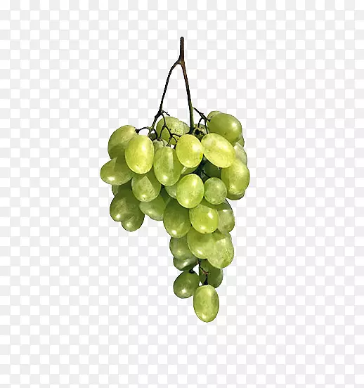 普通葡萄-一串新鲜葡萄