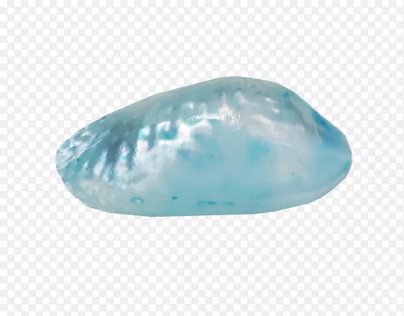 蓝色海螺-美丽的蓝色海螺