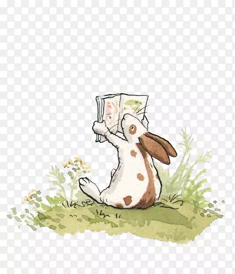 猜猜我有多爱你书插图插画兔子