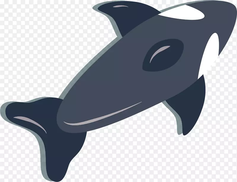 智利海豚剪贴画.蓝色海豚