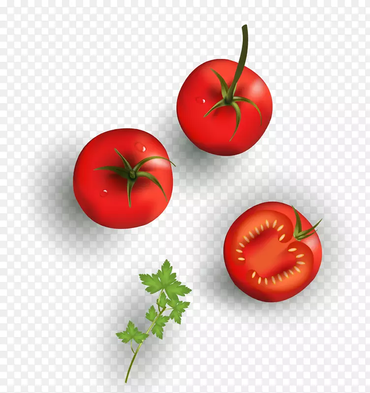 樱桃番茄蔬菜绘画食品纹理卡通番茄材料