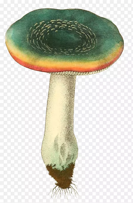 下载剪贴画-简单蘑菇