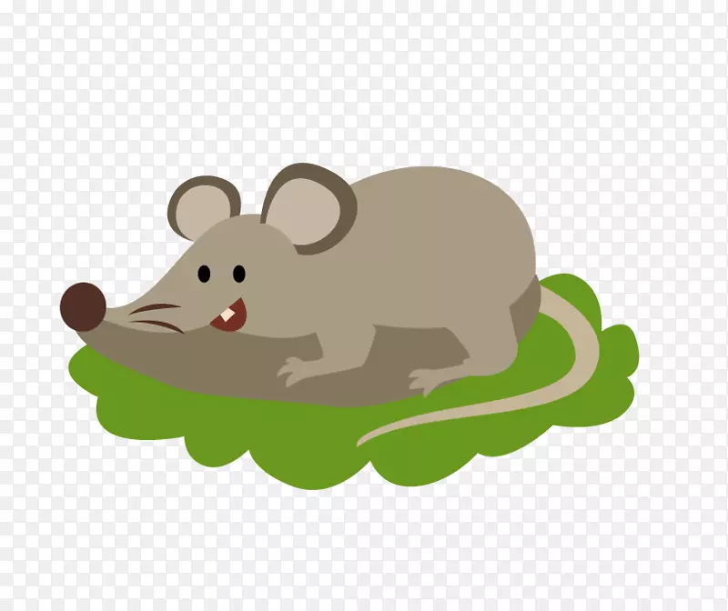 棕色大鼠小猎犬实验大鼠瓷砖-小鼠