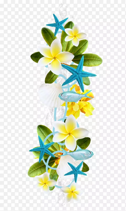 花瓣花卉植物花卉设计-美丽的蓝色花朵海星