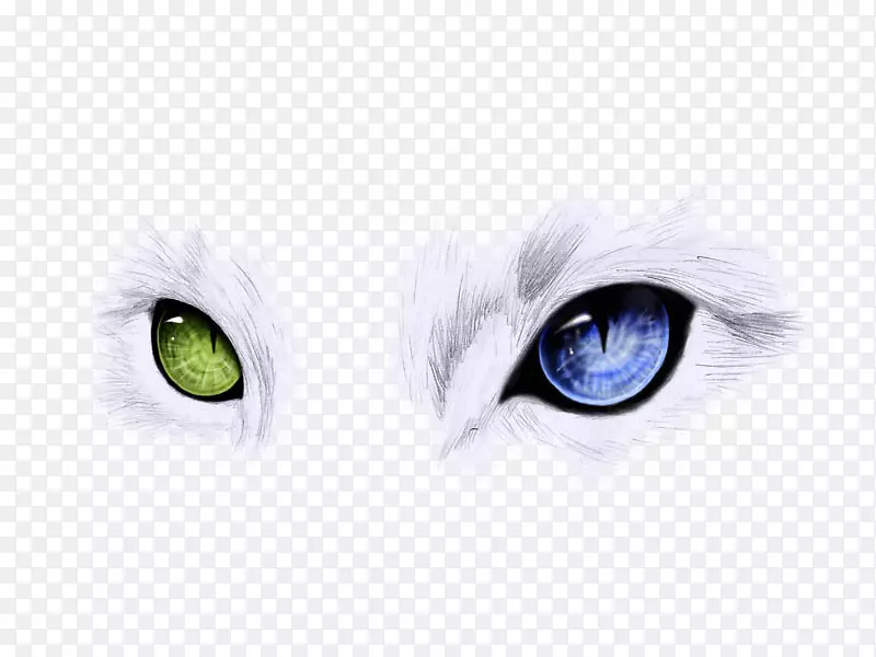 奇眼猫蓝猫两只眼睛是蓝色和绿色的猫眼。