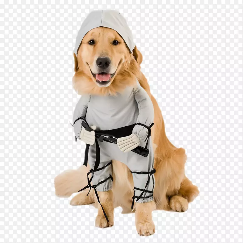 彭布罗克威尔士科吉服装宠物忍者狗-可爱的小狗