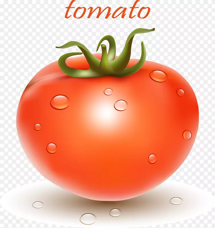 李番茄灌木番茄樱桃番茄蔬菜-载体现实番茄