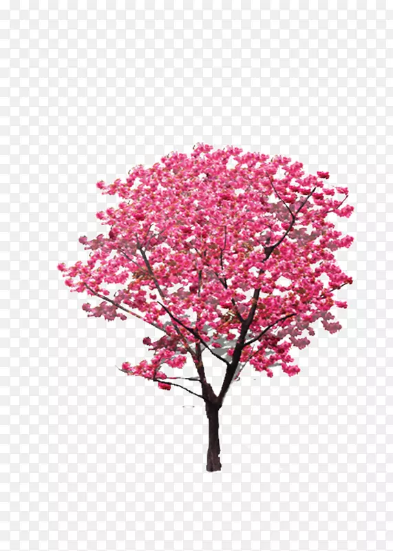 粉红色树枝图标-树