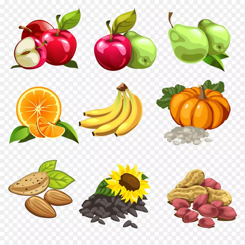 坚果卡通水果插图-香蕉、苹果、梨、桔子、南瓜、葵花籽生