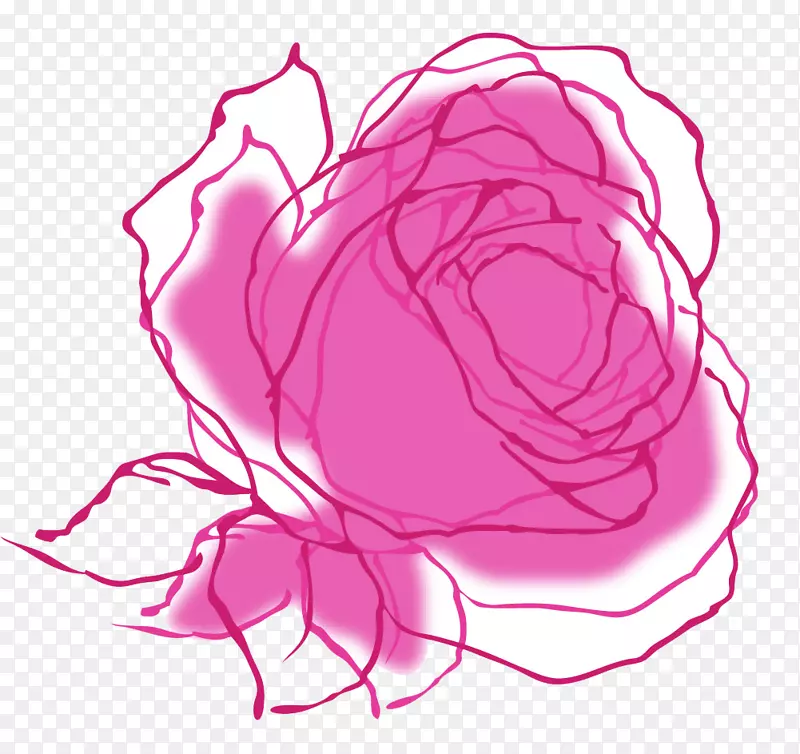 沙滩玫瑰插图-手绘玫瑰