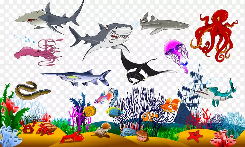 鲨鱼图形设计插图.海洋生物