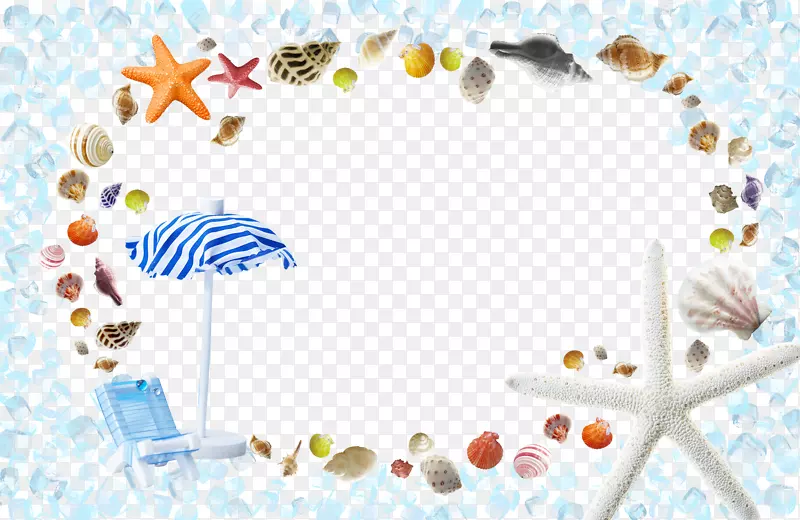 模板夏季海报-贝壳装饰背景