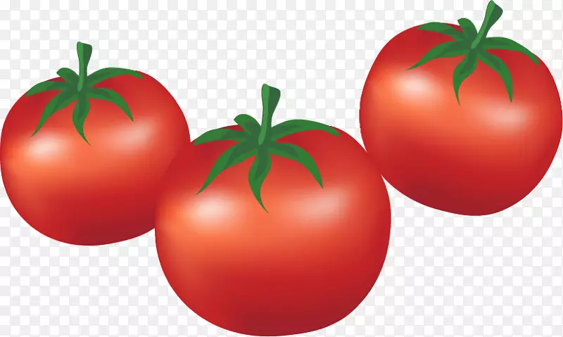 李子番茄灌木番茄卡通蔬菜-卡通番茄