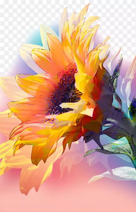水彩画作品中常见的向日葵墨和向日葵