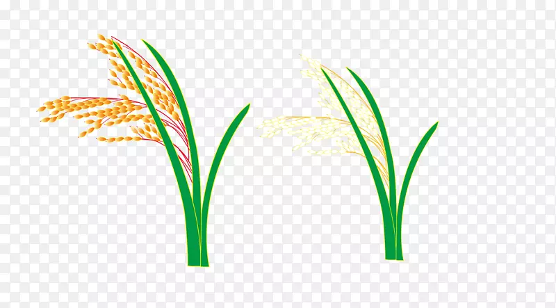 徽标草叶植物茎字体-水稻和小麦
