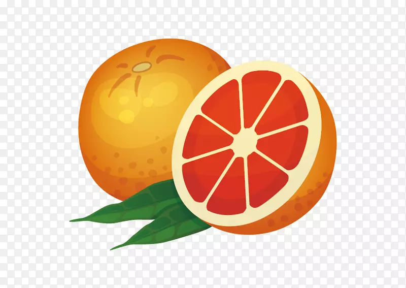 橙色图标-葡萄柚
