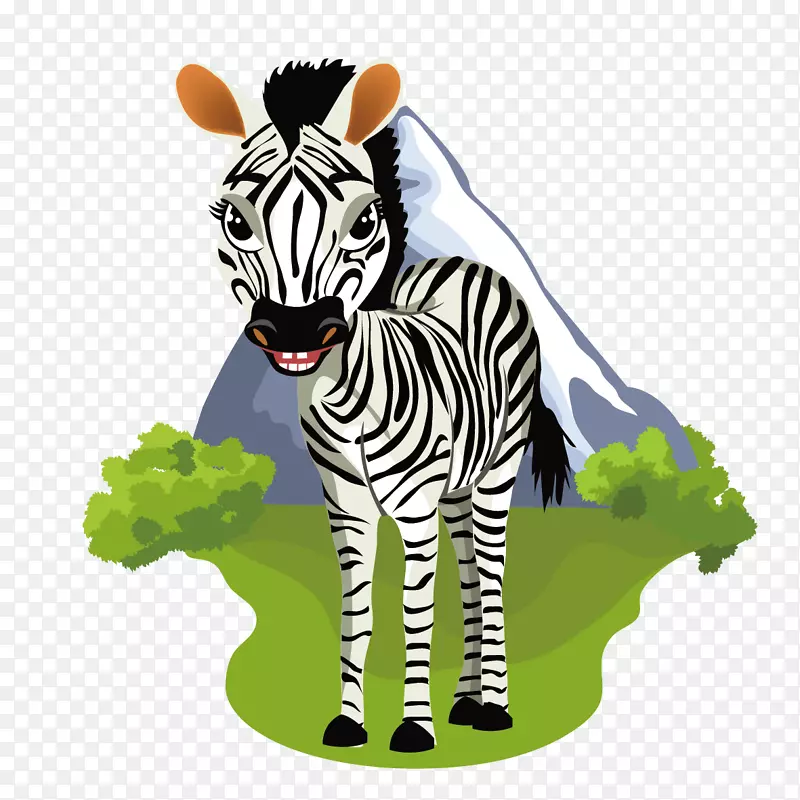 动物品种动画插图-可爱斑马