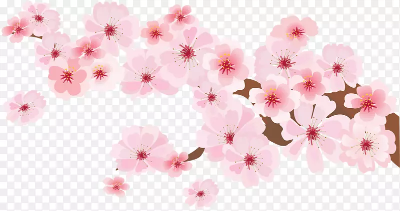 水彩画插图-粉红色桃子