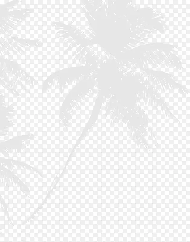 椰子水灰植物-灰色椰子植物