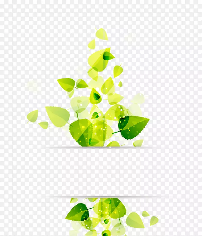 叶绿色插图.叶装饰