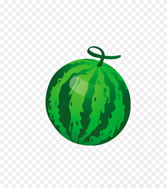 西瓜圈瓜谷歌图片-西瓜