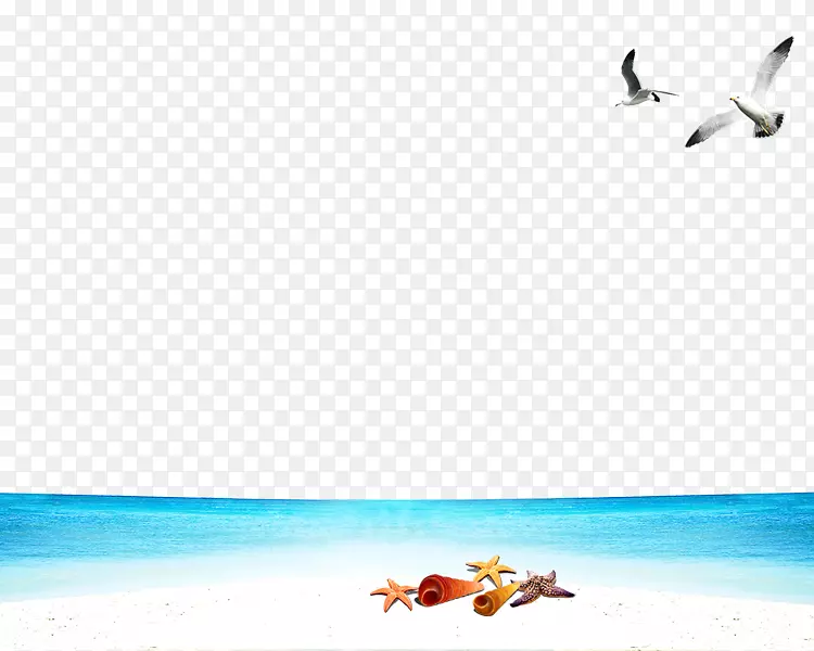 海鸥滩壁纸-海鸥滩无扣材料