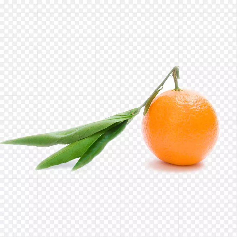 橙汁克莱门汀橙S.A.桔子
